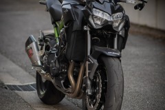 DSC_0795-1